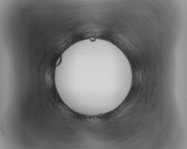 X0000111621250200908071344