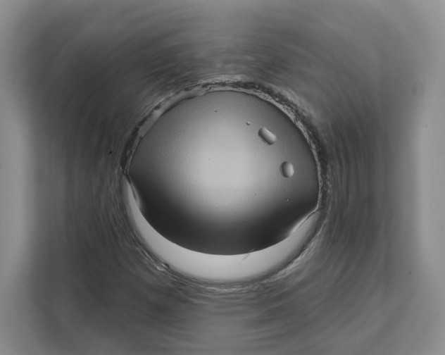 X0000111621257200908071344