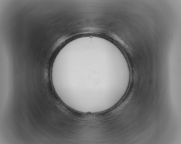 X0000111621259200908071344