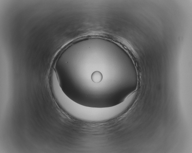 X0000111621260200908071344