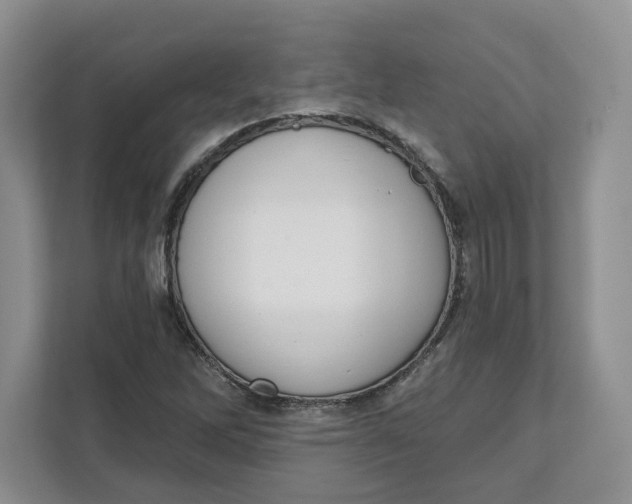 X0000111621262200908071343