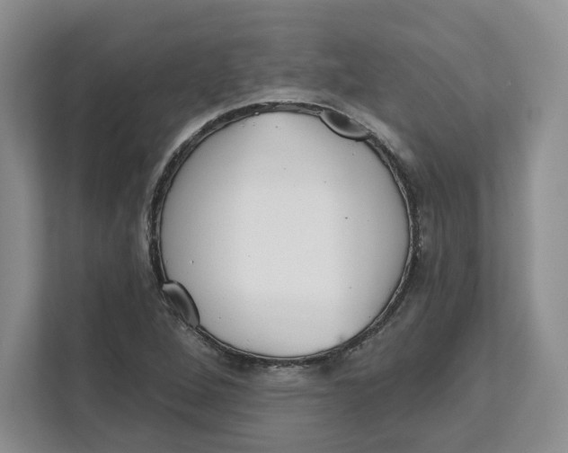 X0000111621264200908071343