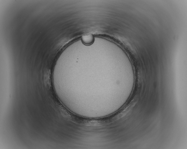 X0000111621265200908071343