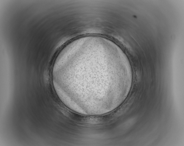 X0000111621266200908071343