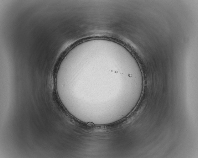 X0000111621267200908071343