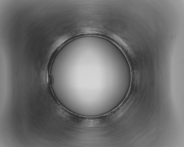 X0000111621269200908071343