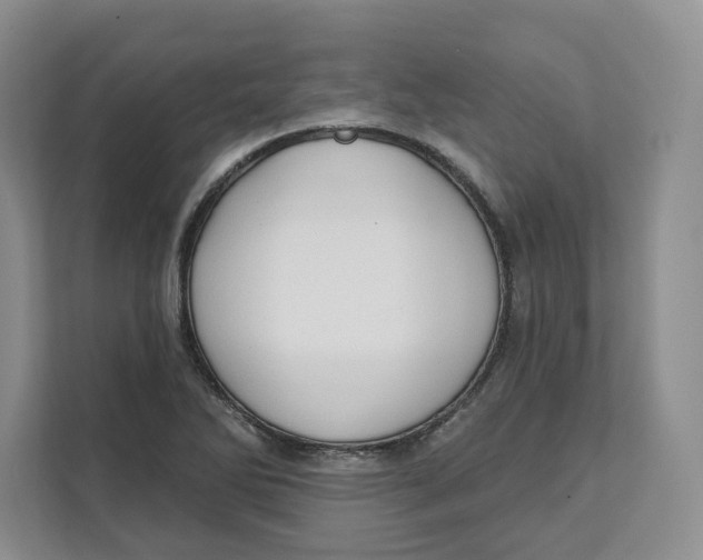 X0000111621270200908071343