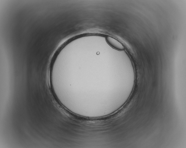 X0000111621272200908071343