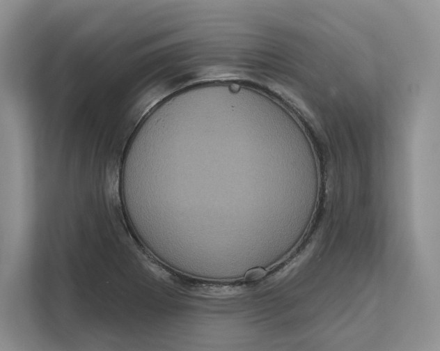 X0000111621273200908071343