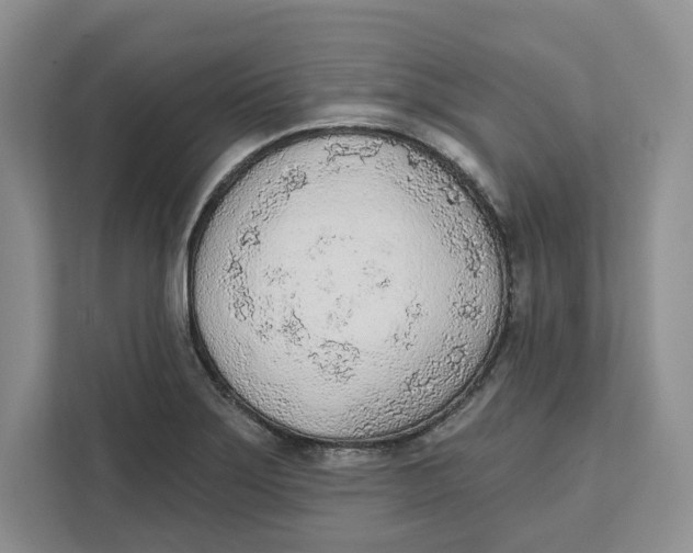 X0000111621275200908071343