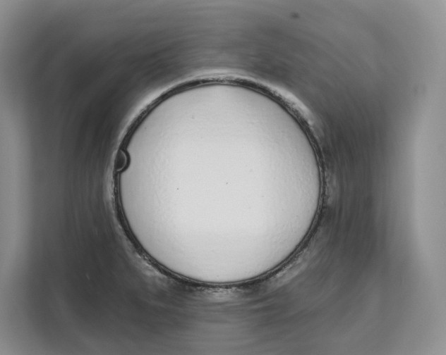 X0000111621279200908071343