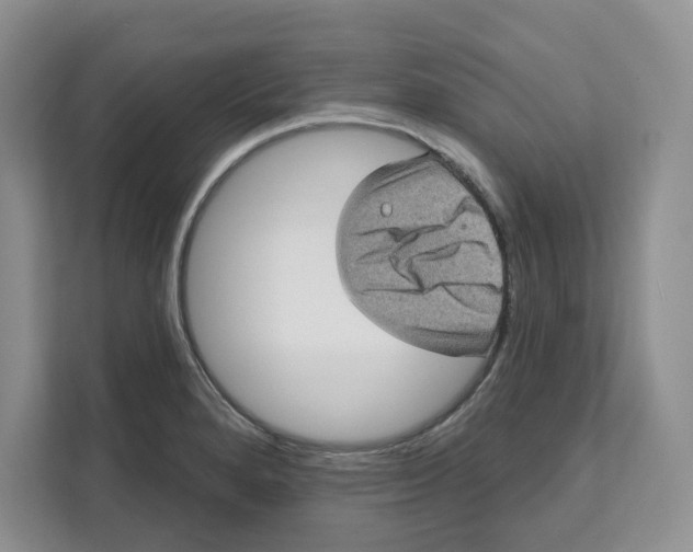 X0000111621280200908071343