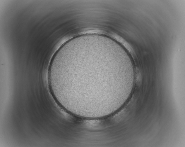 X0000111621282200908071343