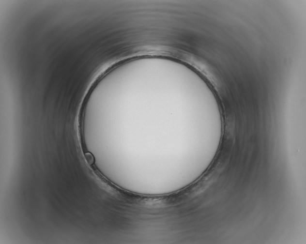 X0000111621283200908071343