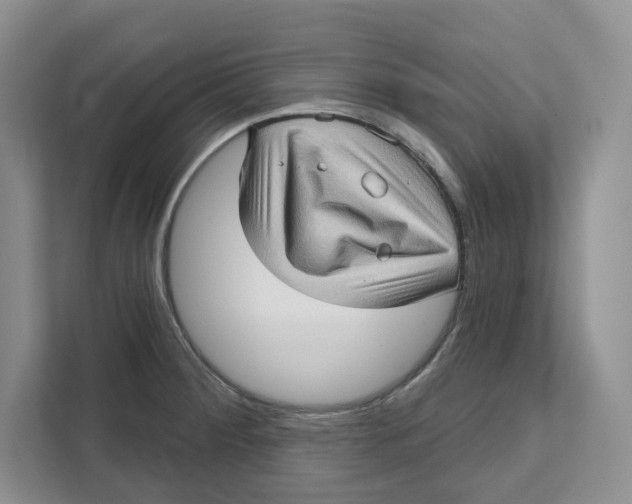 X0000111621284200908071343