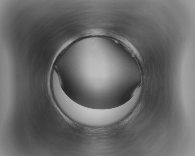 X0000111621285200908071343