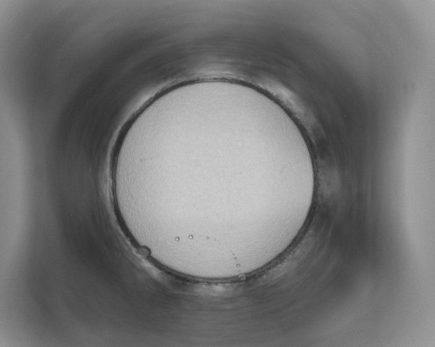 X0000111621286200908071343