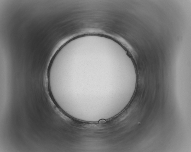 X0000111621287200908071343