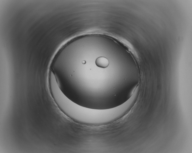 X0000111621288200908071343