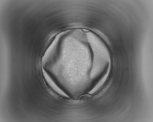 X0000111621289200908071343