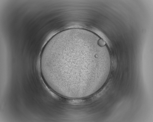 X0000111621290200908071343