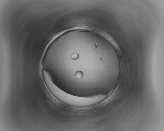 X0000111621292200908071343