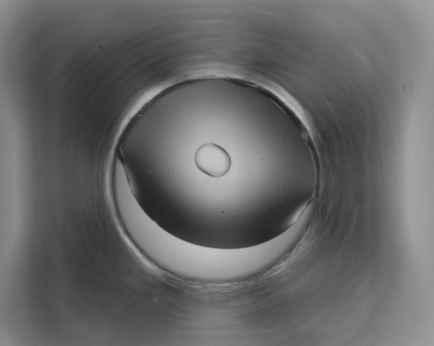 X0000111621293200908071343