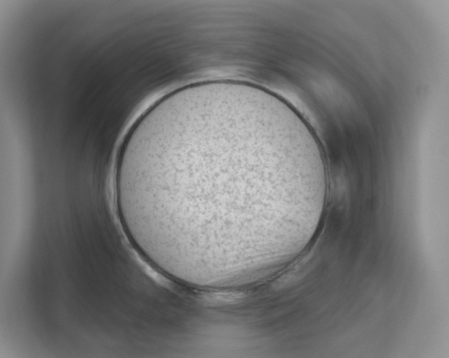 X0000111621294200908071343