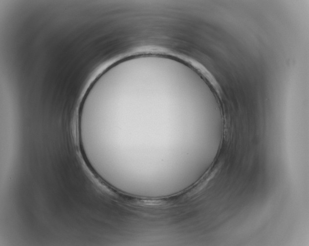 X0000111621295200908071343