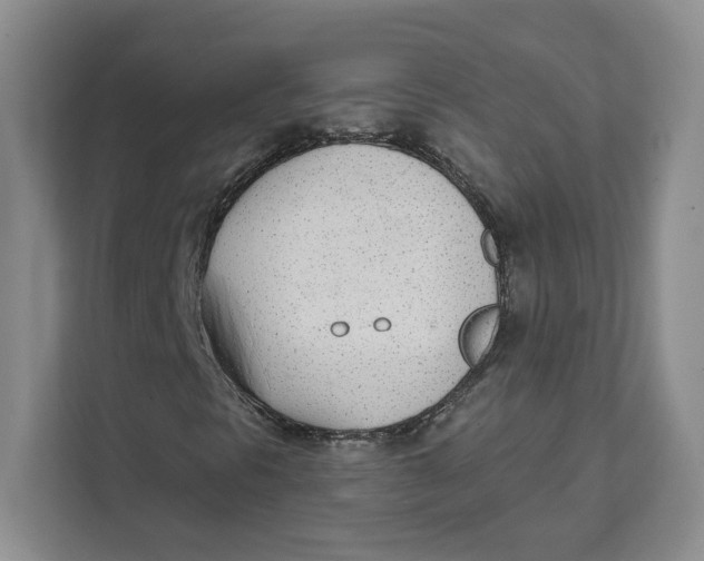 X0000111621297200908071342