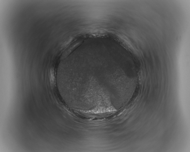 X0000111621298200908071342