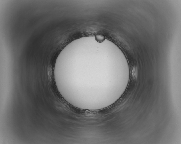 X0000111621299200908071342