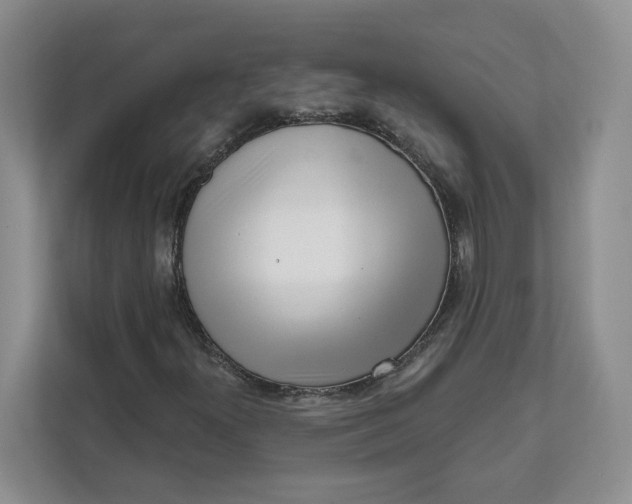 X0000111621300200908071342