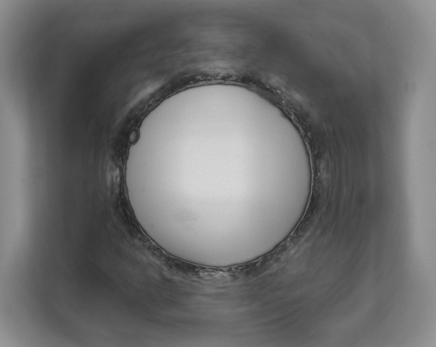 X0000111621302200908071342