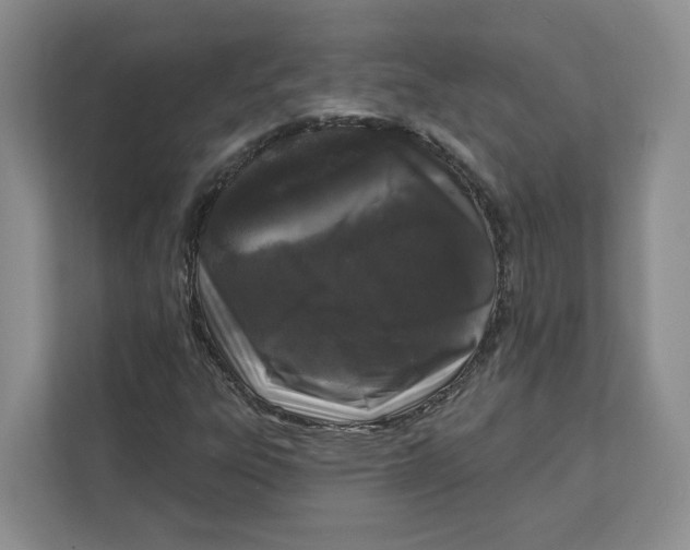 X0000111621303200908071342