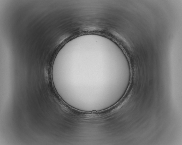 X0000111621305200908071343