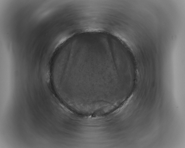 X0000111621306200908071343