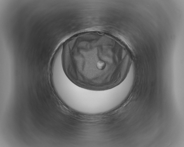 X0000111621308200908071343