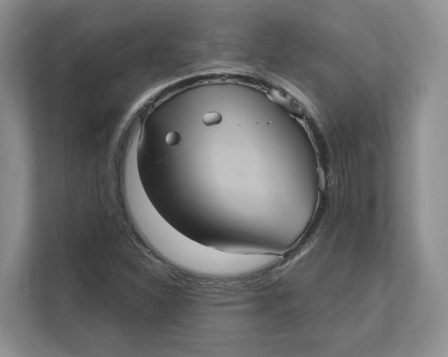 X0000111621310200908071343