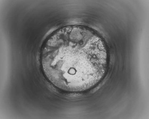 X0000111621314200908071343