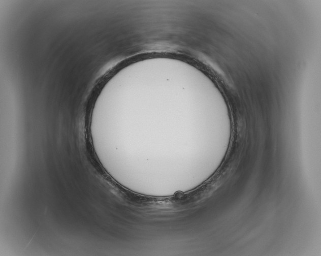 X0000111621315200908071343