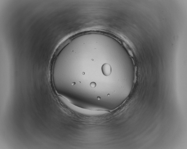 X0000111621316200908071343