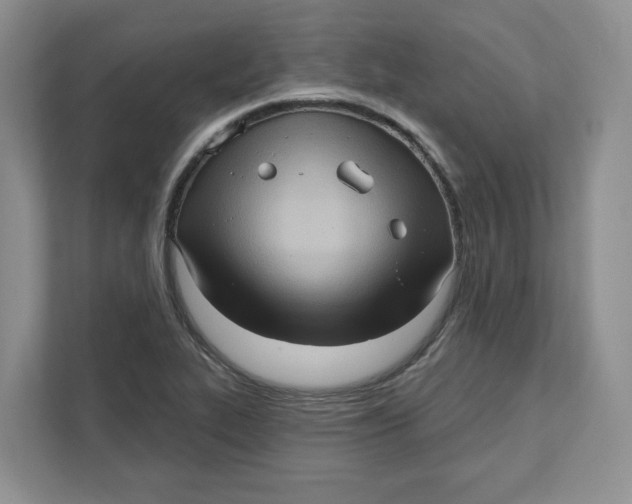 X0000111621319200908071343