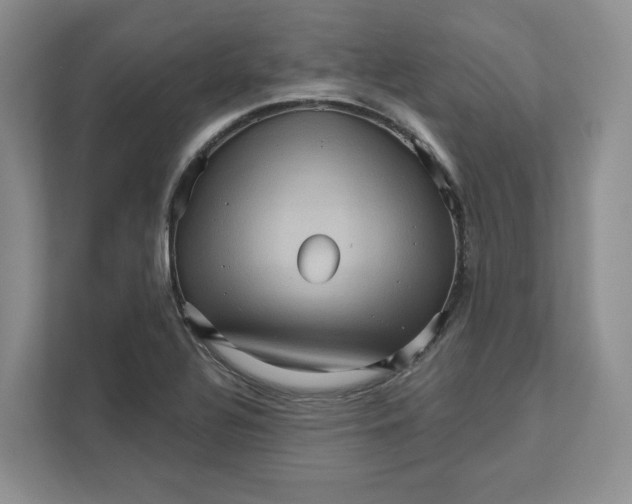 X0000111621320200908071343