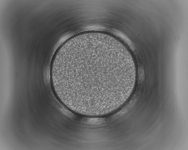 X0000111621322200908071343