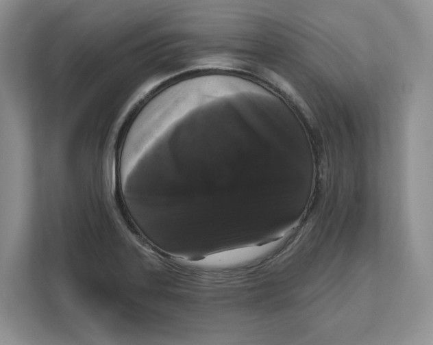 X0000111621323200908071343