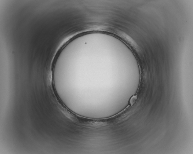 X0000111621324200908071343