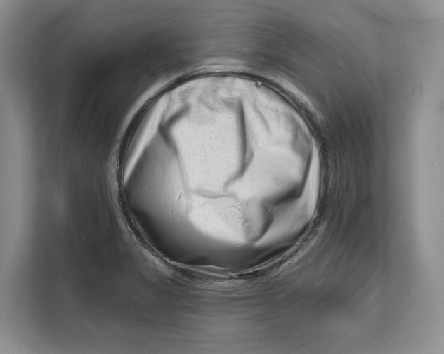 X0000111621325200908071343