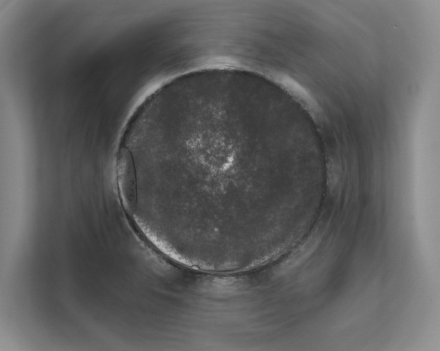 X0000111621326200908071343