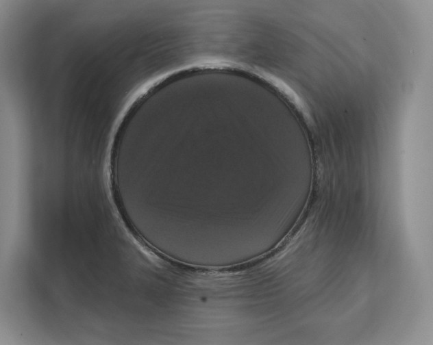 X0000111621327200908071343